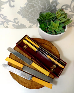 Antique Set Of William Rodgers Bone Handle Knives In Original Box