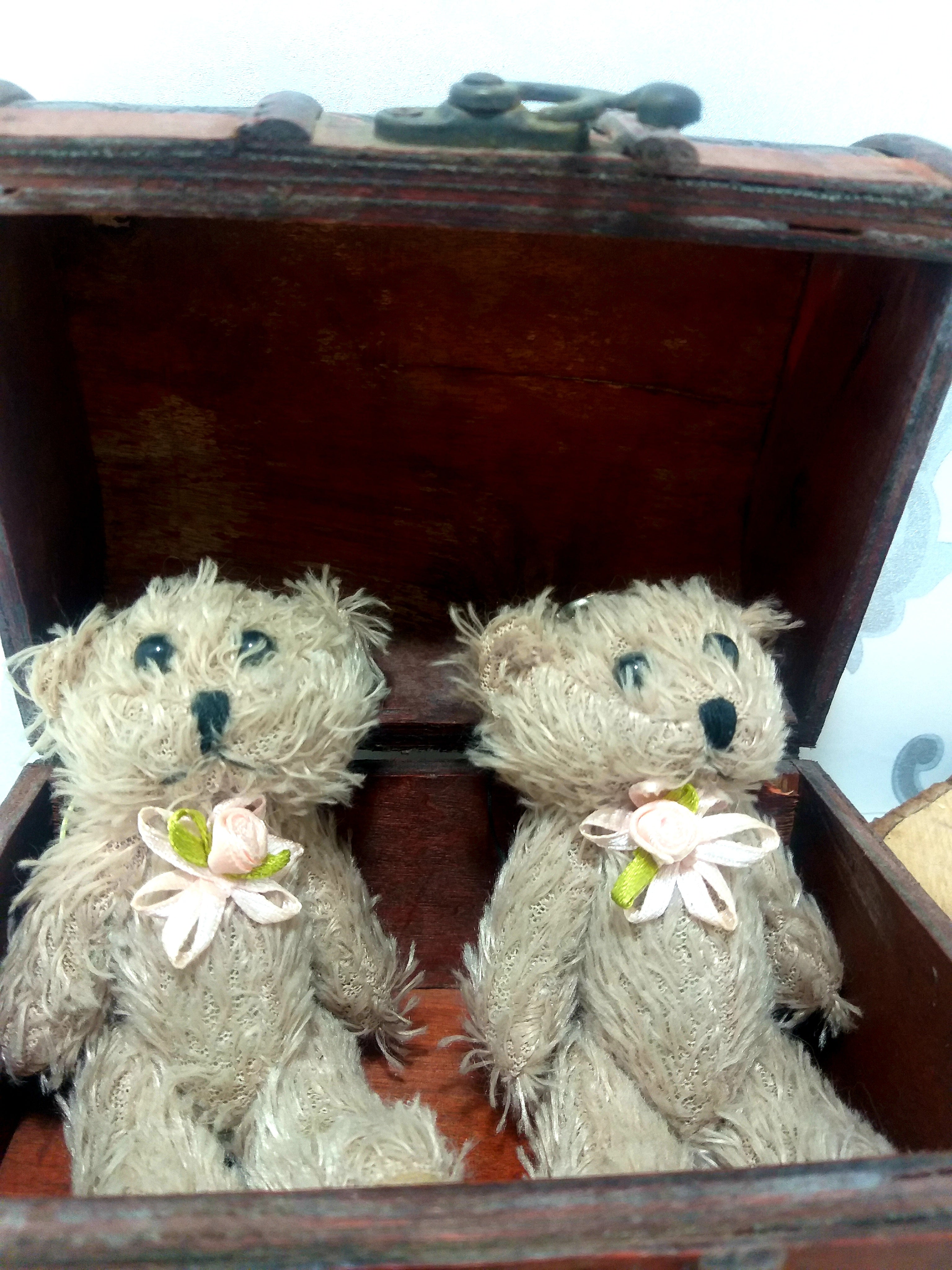 2 Small Vintage Teddy Bears In A Clad Wooden Chest