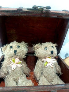 2 Small Vintage Teddy Bears In A Clad Wooden Chest