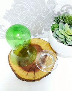 Green Glass Bell Shaped Dome With Loose Clear Glass Base