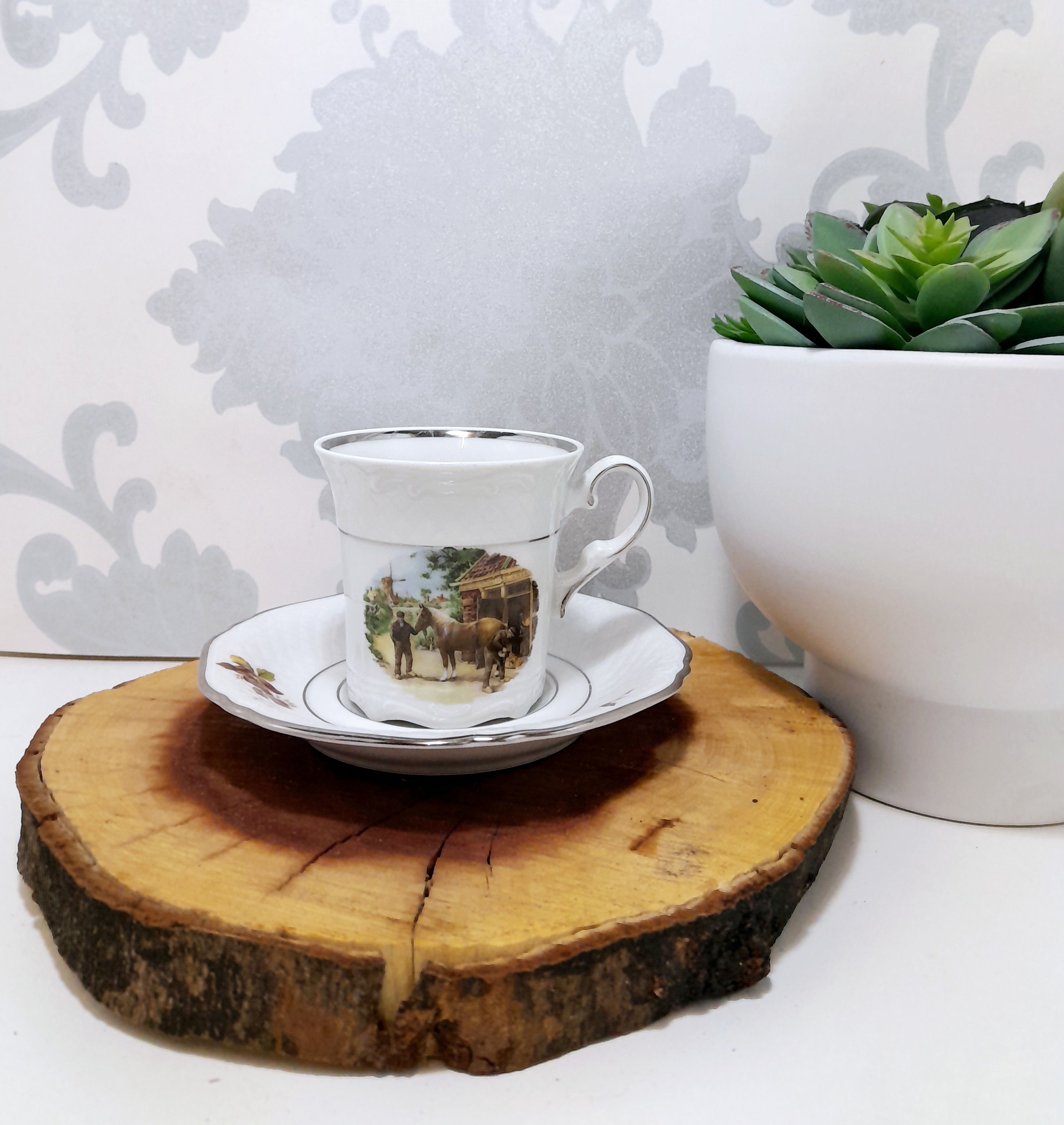 Collectable Dutch Royal Schwabap Ter Steege B.V. Hand Decorated Cup & Saucer