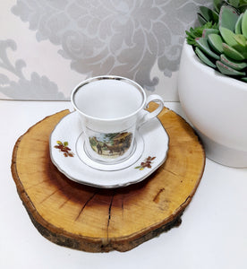 Collectable Dutch Royal Schwabap Ter Steege B.V. Hand Decorated Cup & Saucer