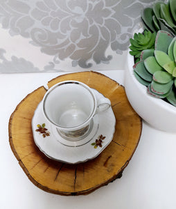 Collectable Dutch Royal Schwabap Ter Steege B.V. Hand Decorated Cup & Saucer