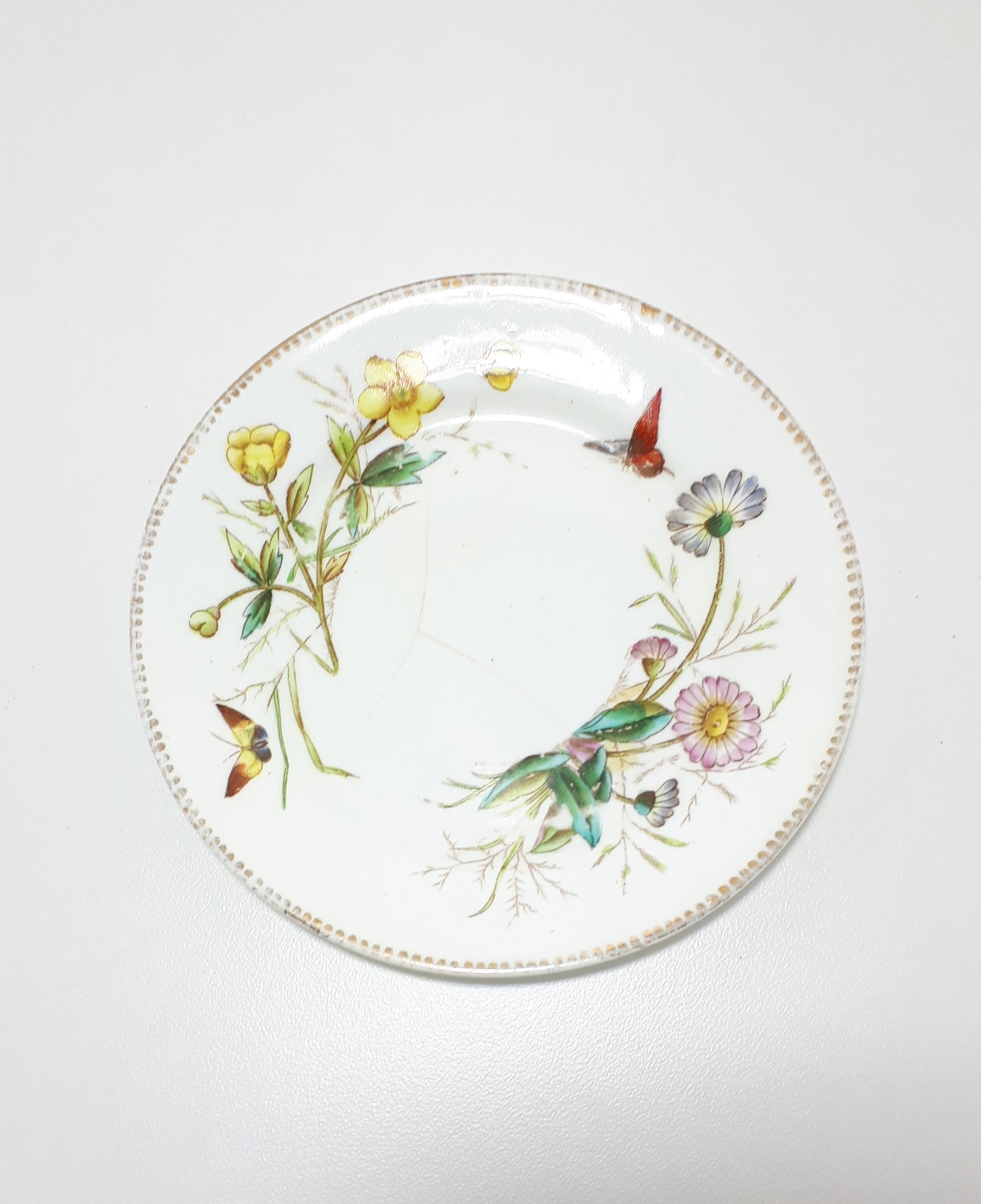 Rare Antique 1885-1891 Waine & Bates, Longton Fine Porcelain Tea Plate Rd No 51238