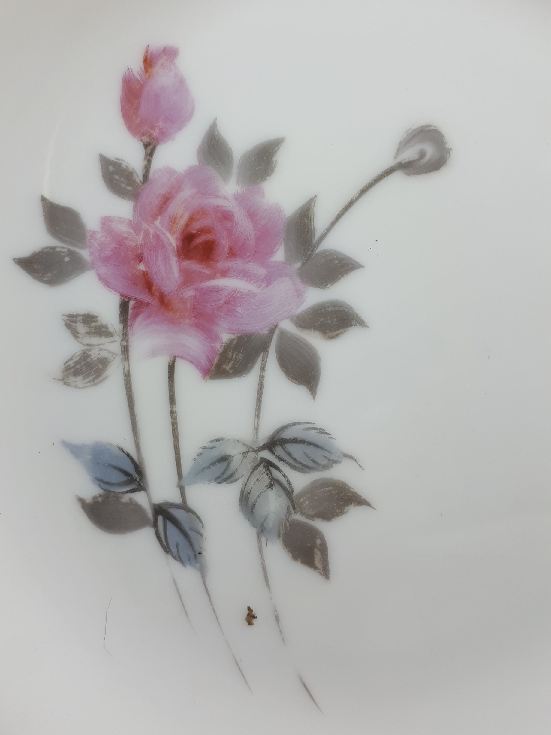 Japanese Fine Porcelain Vintage 1950's Hayasi Kutani Tea Cup & Tea Plate - Pattern 5788
