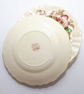 1912+ Rare Antique J&G Meakin Set Of 4 Side Plates - Gainsborough Shape In The Century Range - Pilgrim Pattern