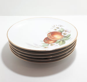 5 Piece Hutschenreuter (1960-1970's) German Fine Porcelain Plates