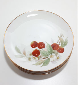 5 Piece Hutschenreuter (1960-1970's) German Fine Porcelain Plates