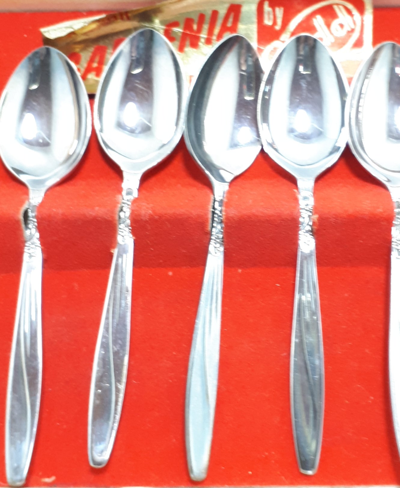 Set Of 6 Silver Plated Rodd Ltd. Demitasse Spoons In Original Box – Gardenia Design
