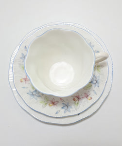 Elegant & Beautiful Soft Pastel Queen’s Fine Bone China Tea Trio – Claire Pattern