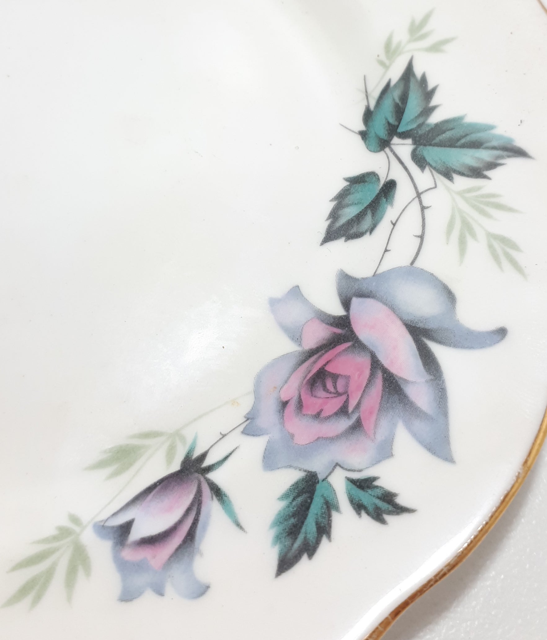 Queen Anne Bone China (Ridgway Potteries Ltd) Tea Plate – Pattern Unknown
