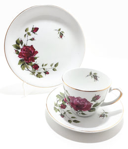 21 Piece Alfred Meakin Glo White Tea Set