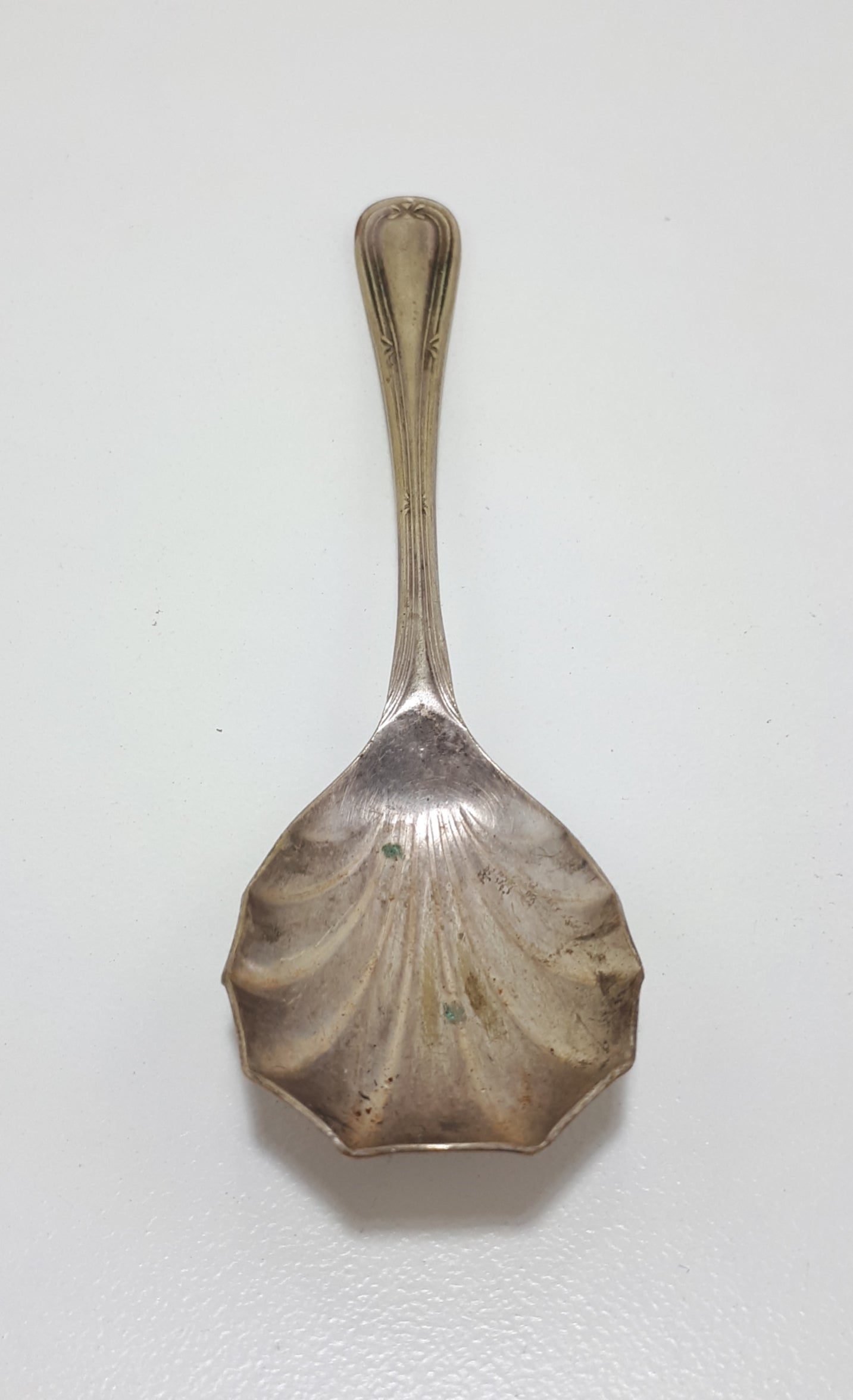 Silver Plated Shell Shaped Dessert Spoon