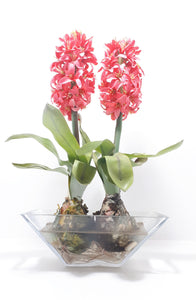 Decorative Faux Aloes Ornament – Textile Petals, Composite Stems, Leaves & Bulbs In Glass Pot