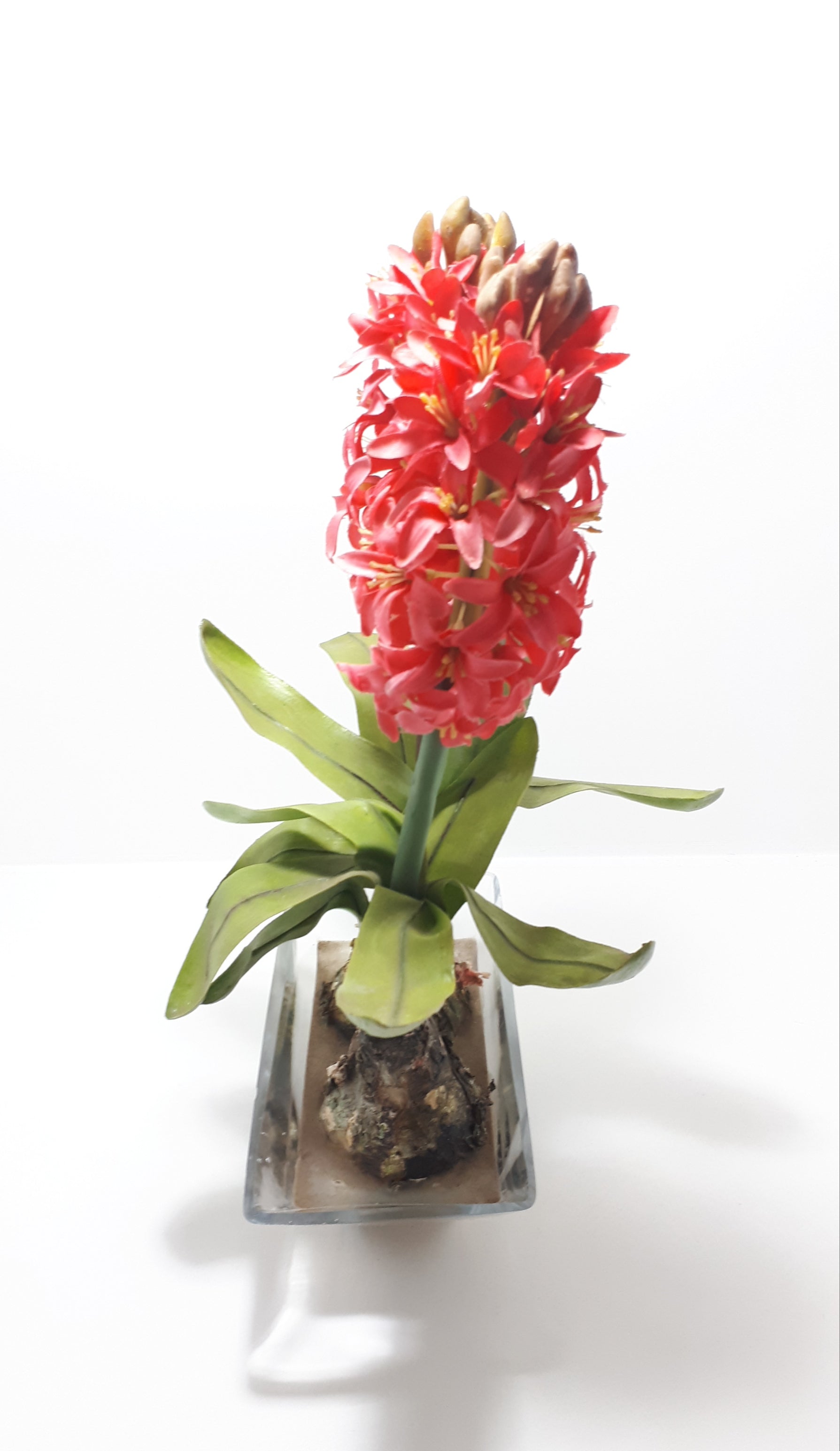 Decorative Faux Aloes Ornament – Textile Petals, Composite Stems, Leaves & Bulbs In Glass Pot