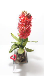 Decorative Faux Aloes Ornament – Textile Petals, Composite Stems, Leaves & Bulbs In Glass Pot