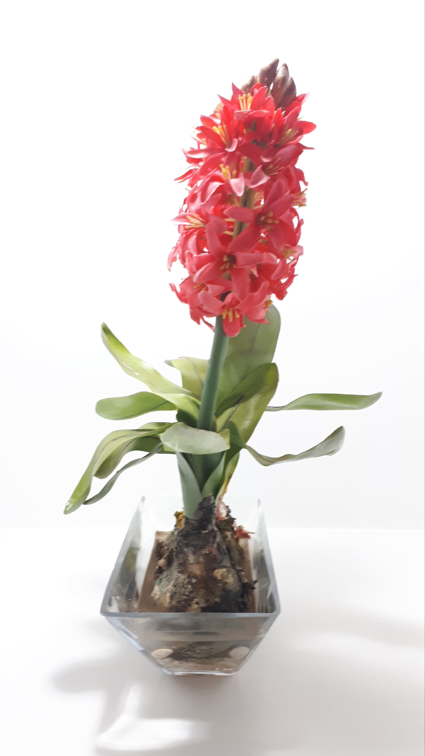 Decorative Faux Aloes Ornament – Textile Petals, Composite Stems, Leaves & Bulbs In Glass Pot