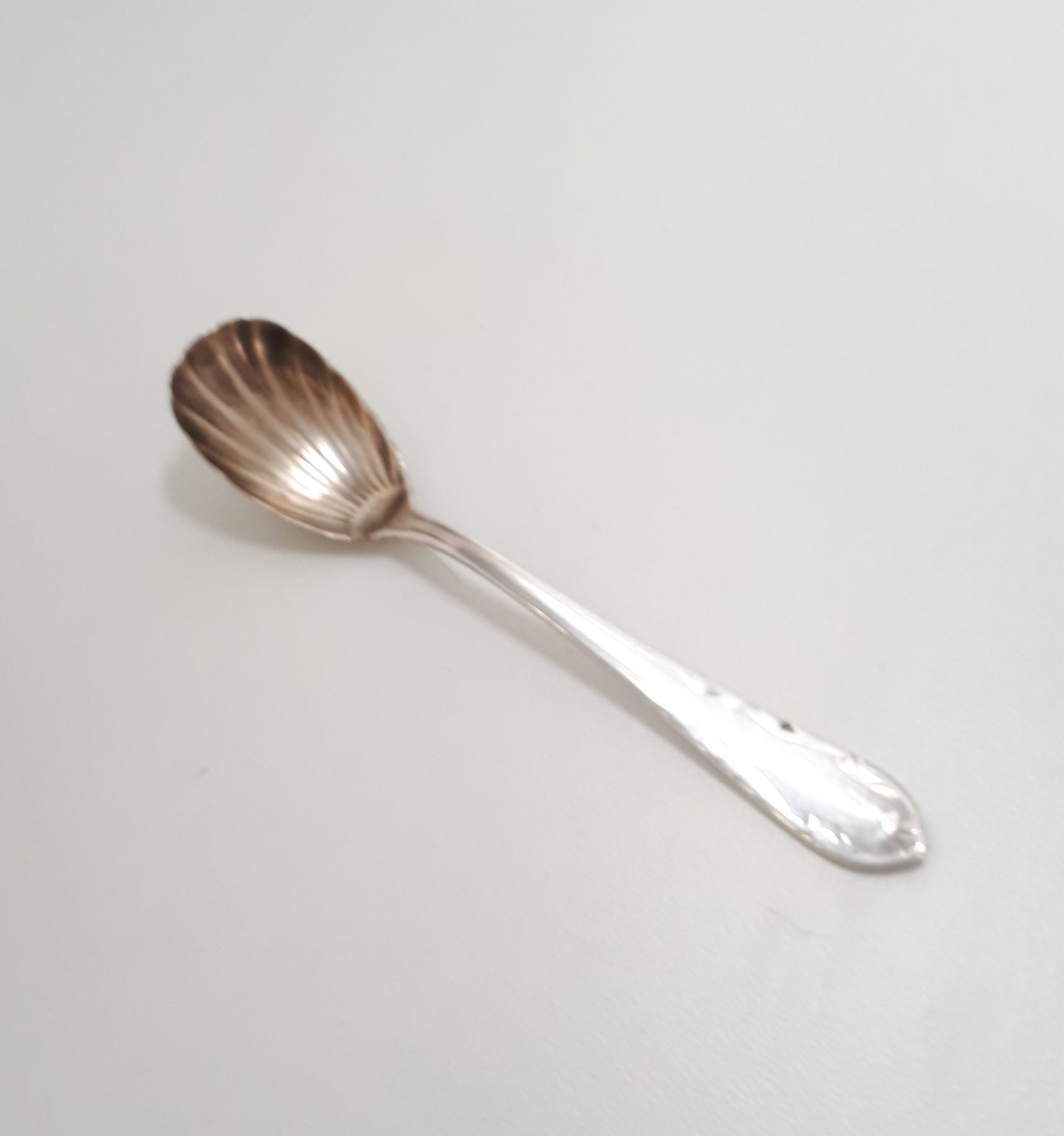 Antique Shell Shaped Sugar Spoon