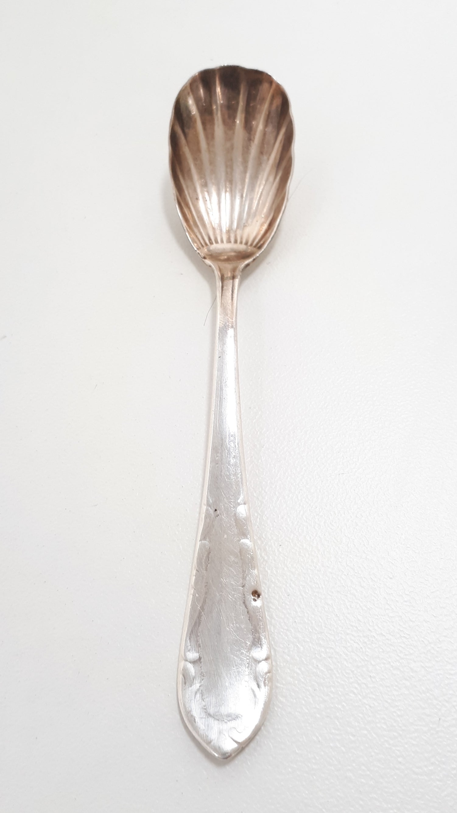 Antique Shell Shaped Sugar Spoon