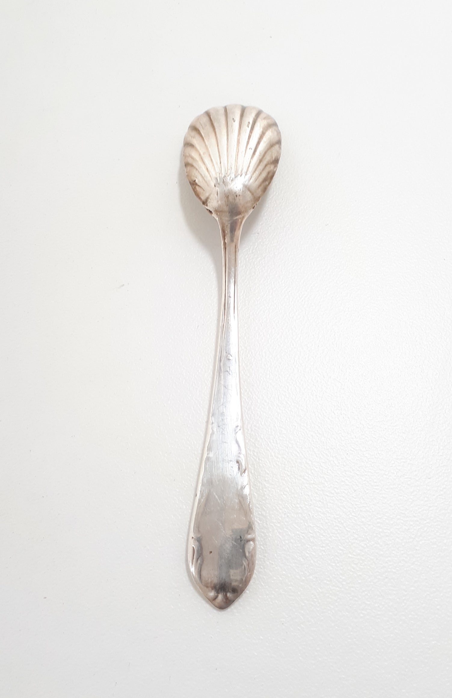 Antique Shell Shaped Sugar Spoon