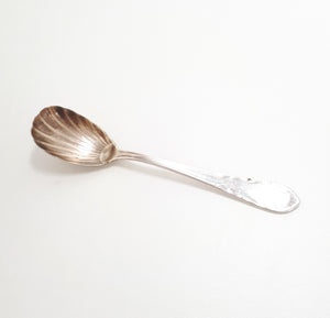 Antique Shell Shaped Sugar Spoon