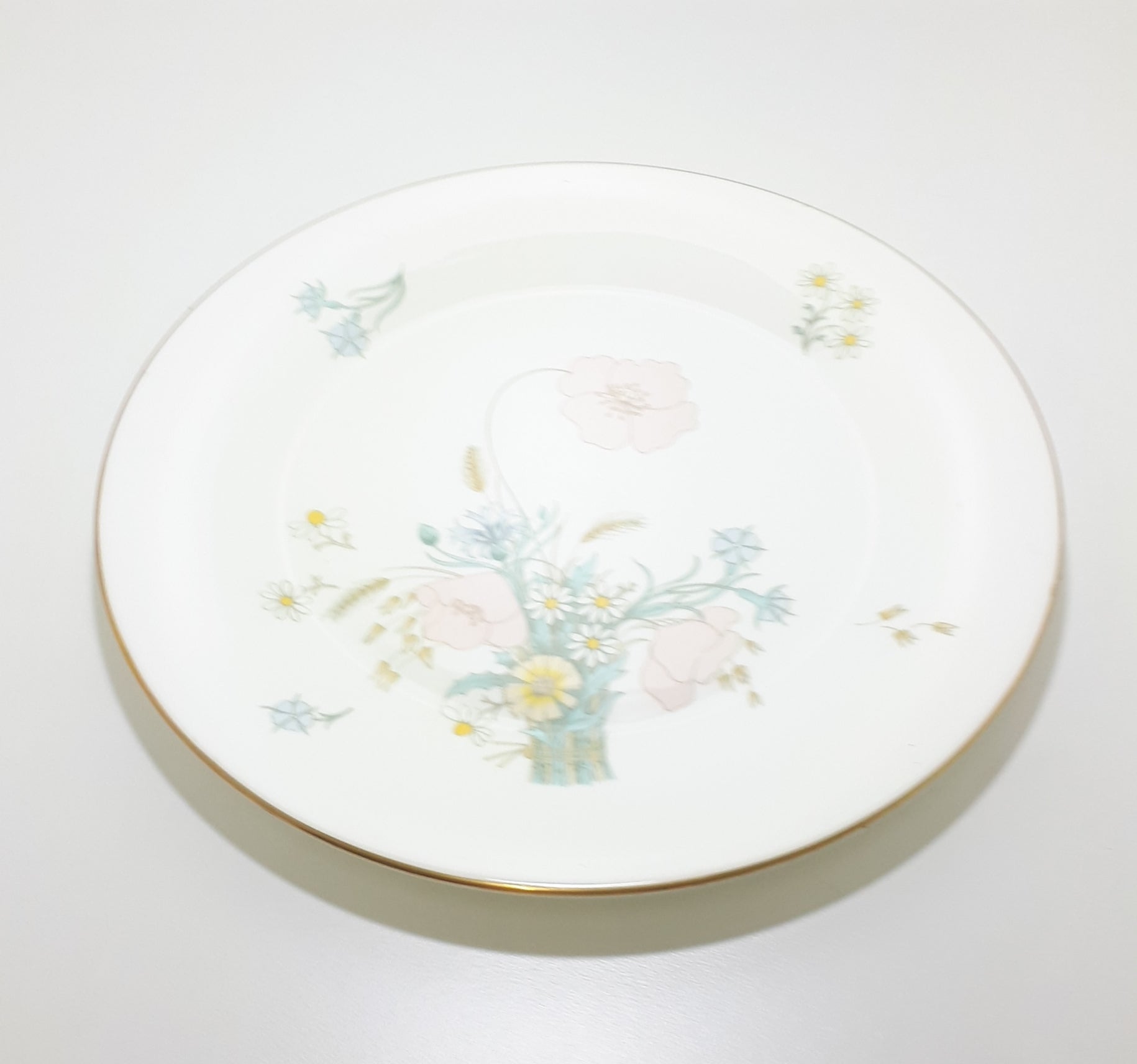 1977-1990 Royal Doulton Collectable Fine Porcelain Dinner Plate