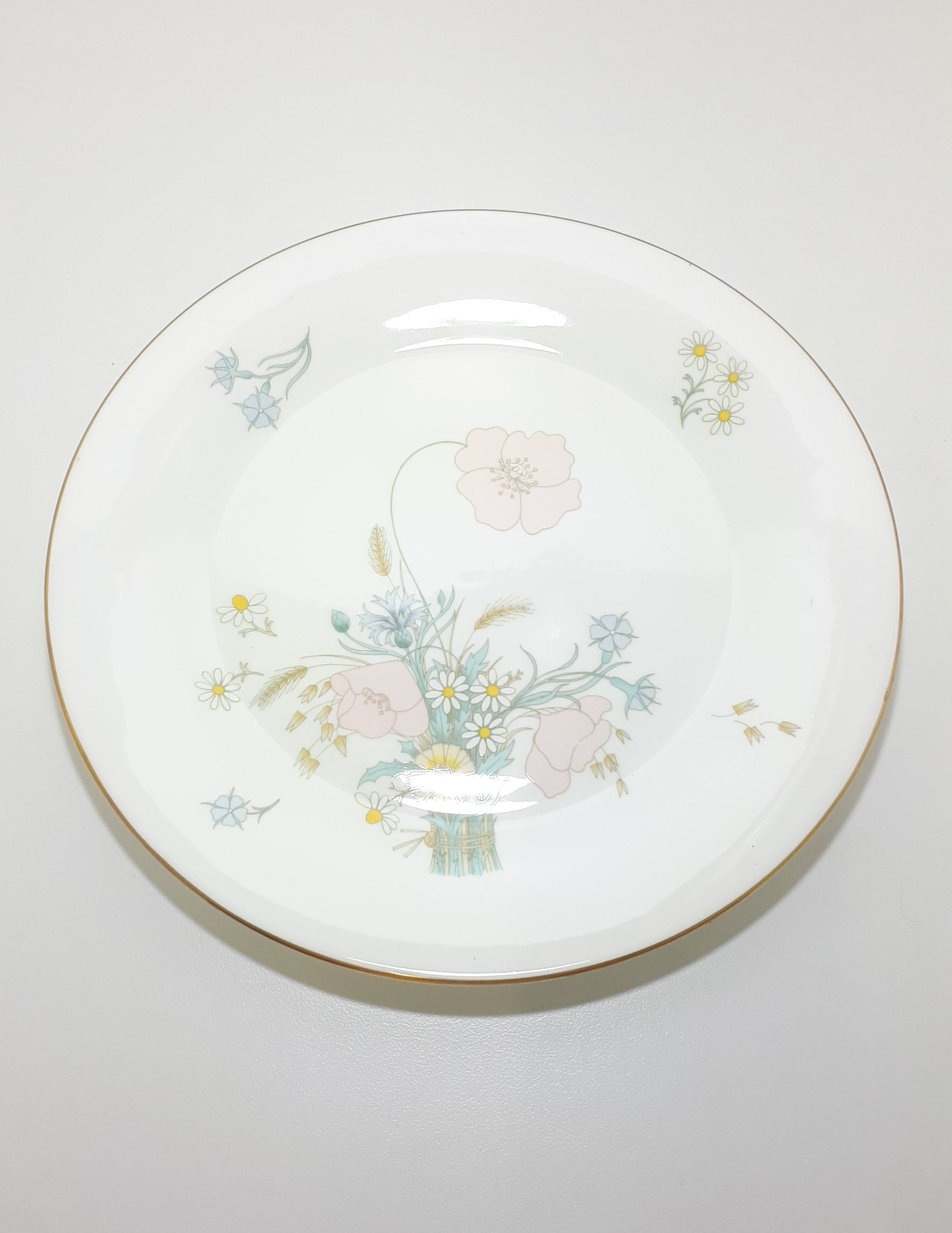 1977-1990 Royal Doulton Collectable Fine Porcelain Dinner Plate