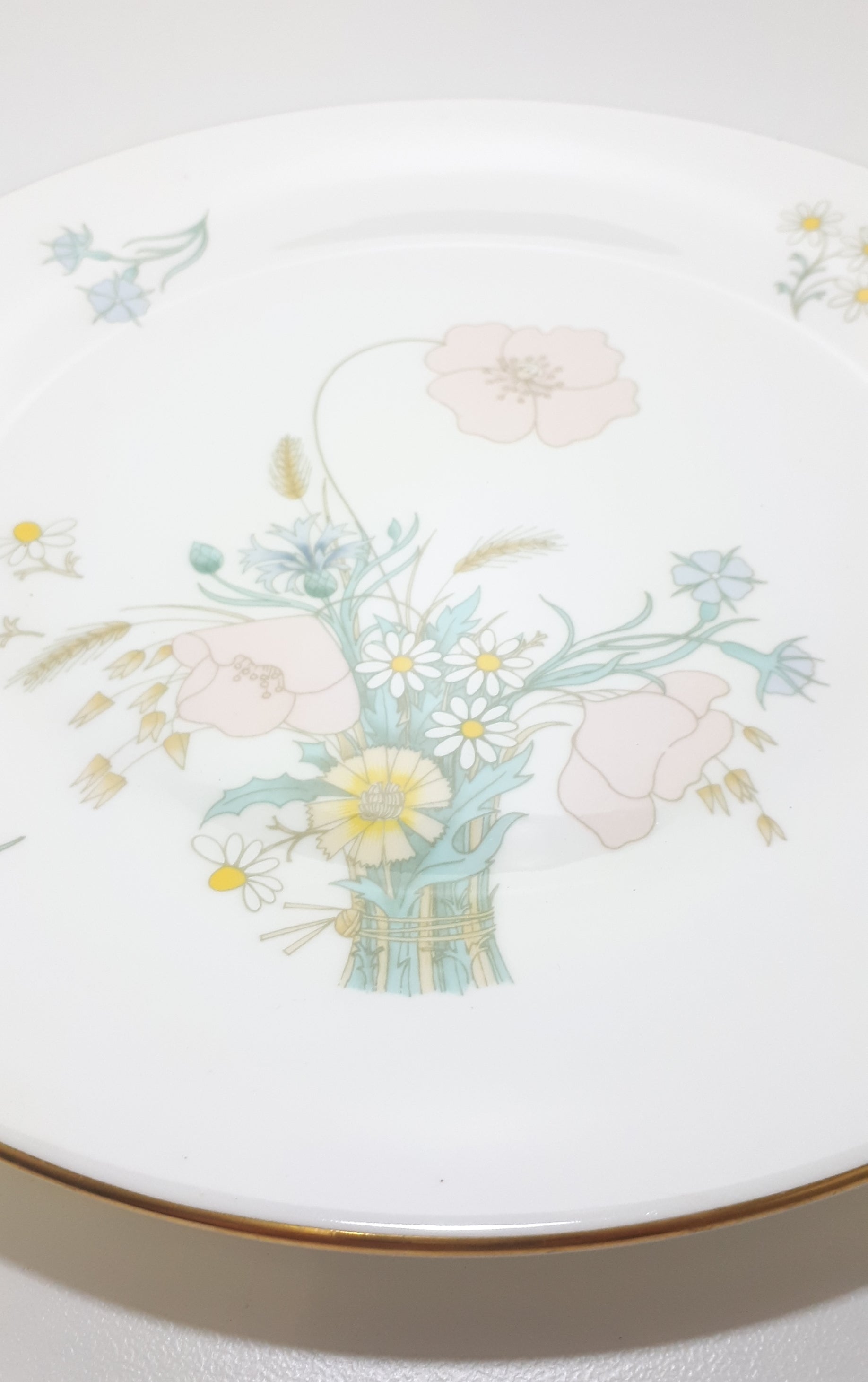 1977-1990 Royal Doulton Collectable Fine Porcelain Dinner Plate