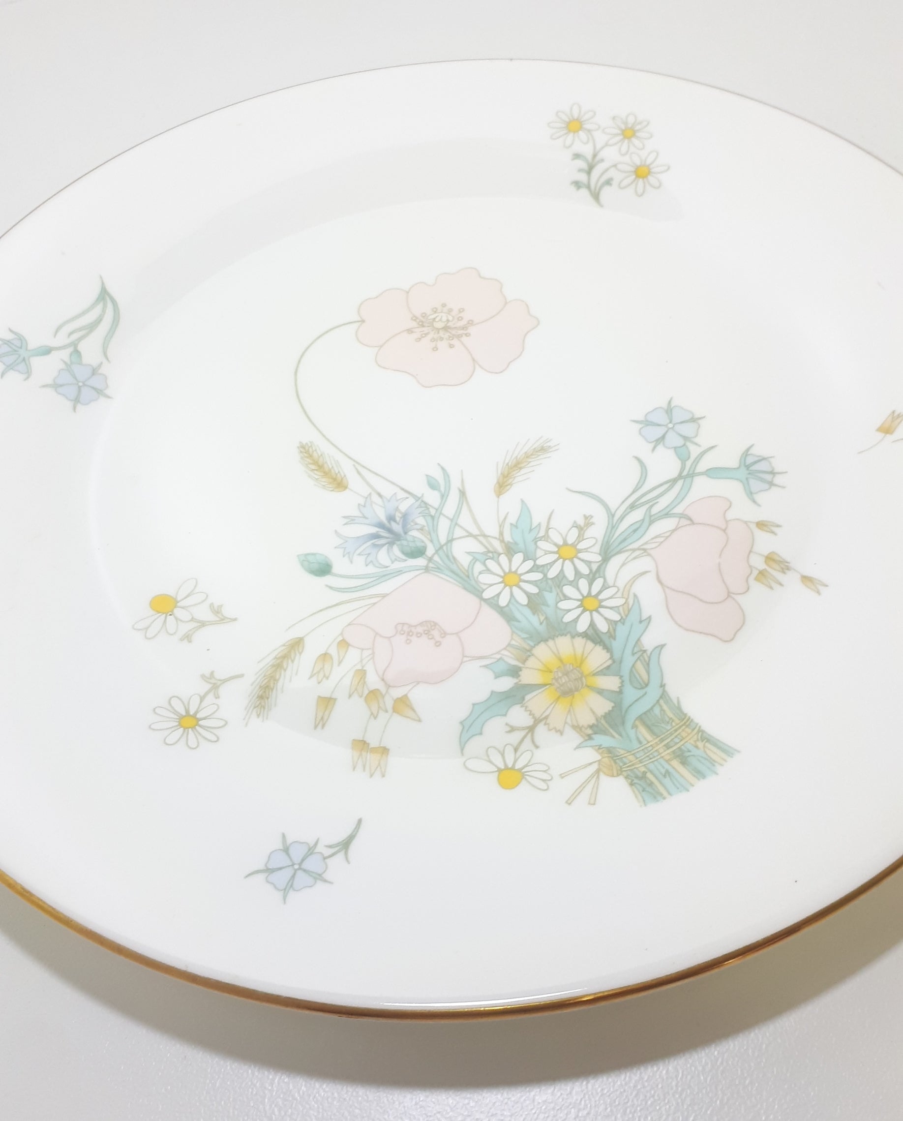 1977-1990 Royal Doulton Collectable Fine Porcelain Dinner Plate
