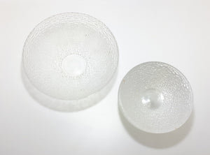 9 Piece Vintage Glass Dessert Set – Serving Bowl & 8 Dessert Bowls