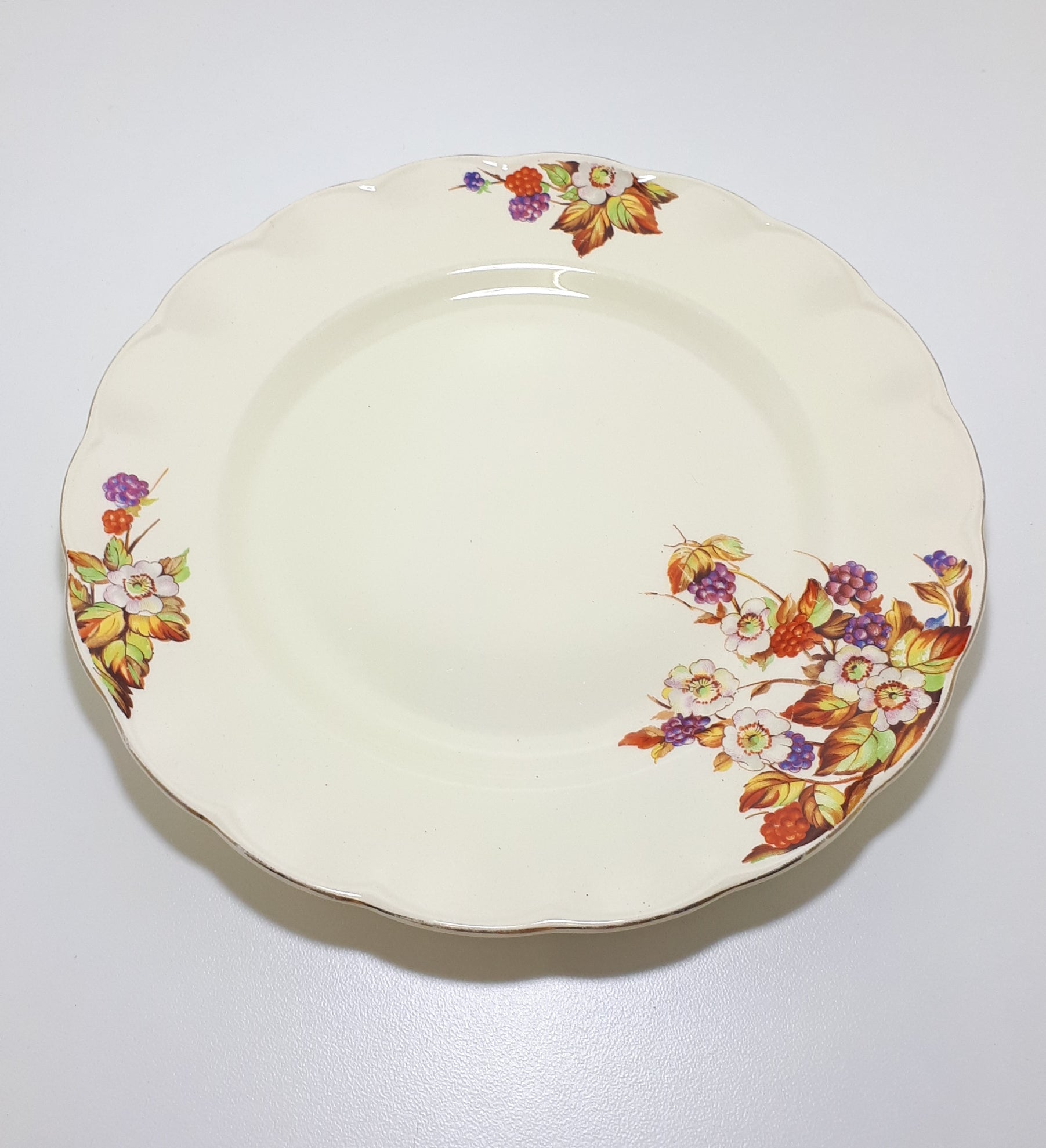 Vintage c.1936-54 Grindley Creampetal Dinner Plate – Unknown Pattern