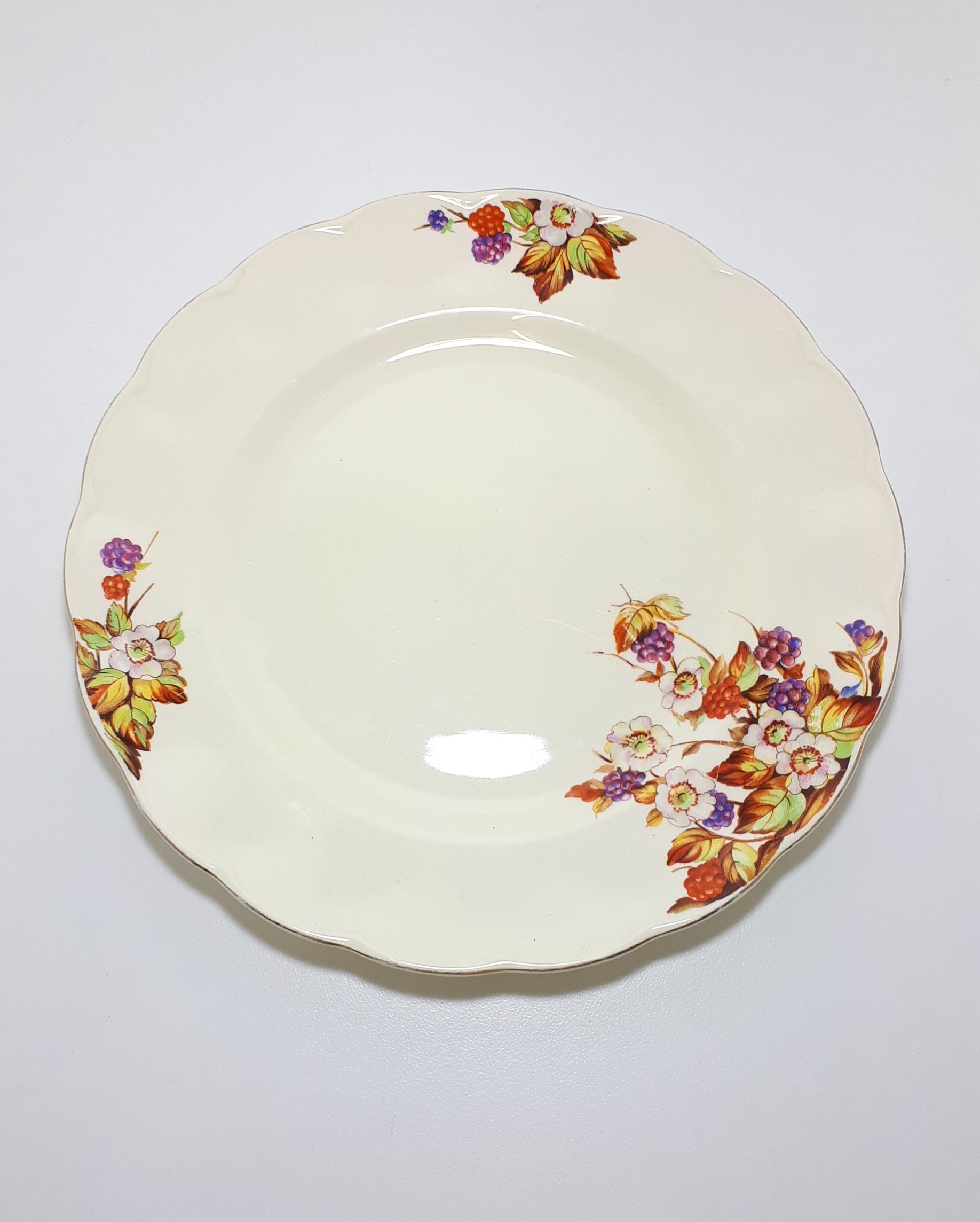 Vintage c.1936-54 Grindley Creampetal Dinner Plate – Unknown Pattern