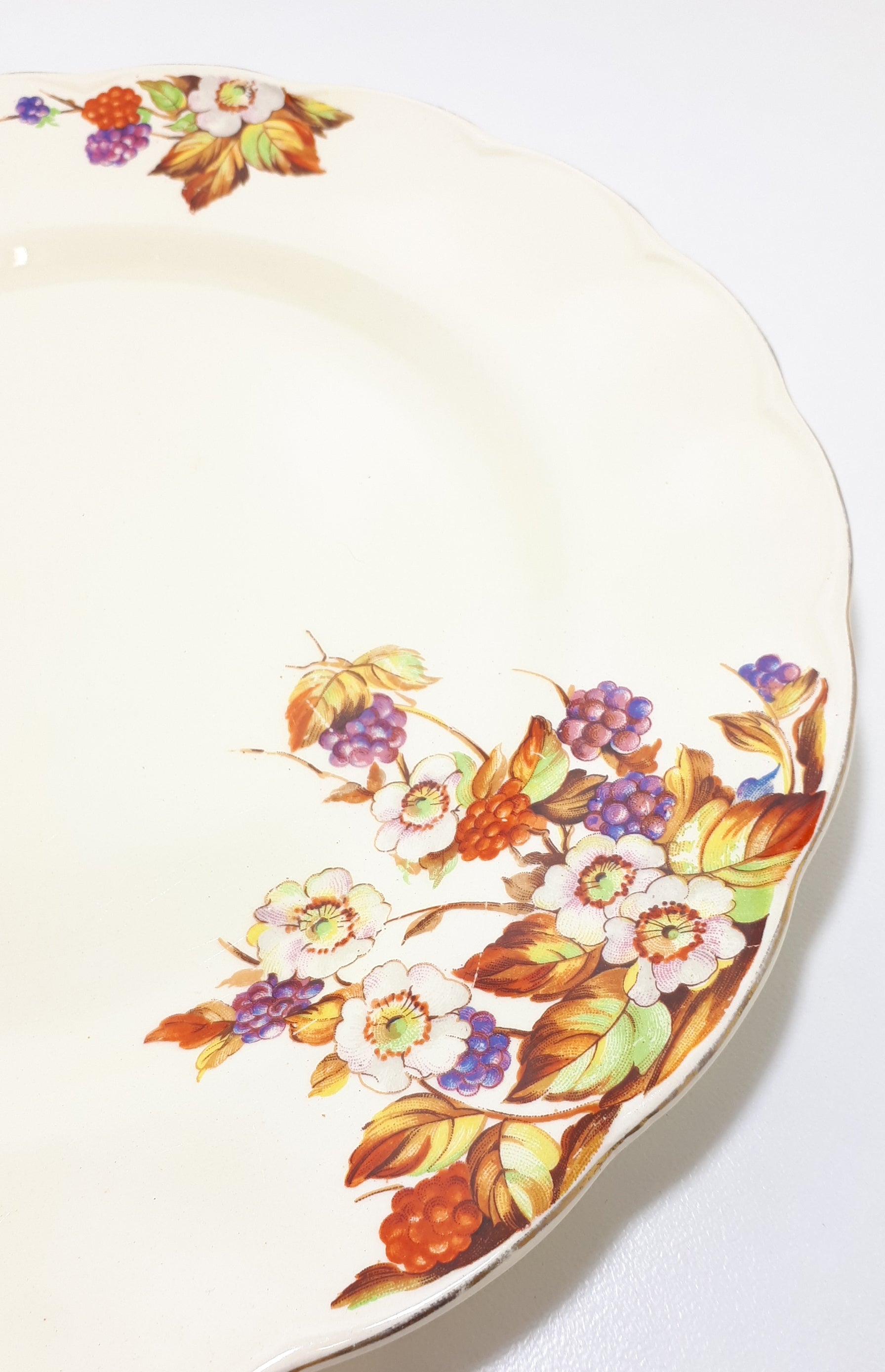 Vintage c.1936-54 Grindley Creampetal Dinner Plate – Unknown Pattern