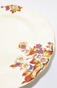 Vintage c.1936-54 Grindley Creampetal Dinner Plate – Unknown Pattern