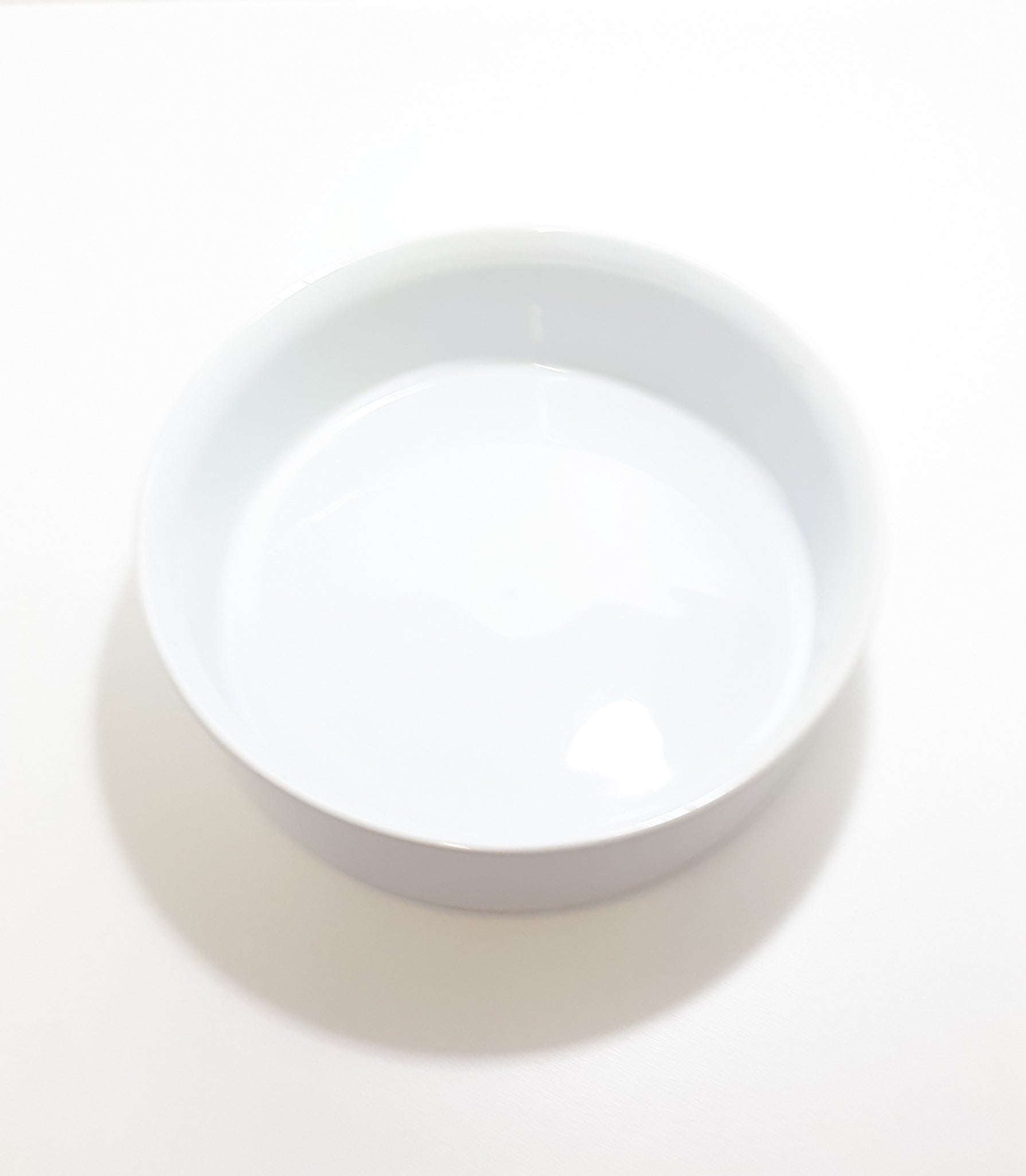 Contemporary White Round Porcelain Baking Dish / Open Casserole