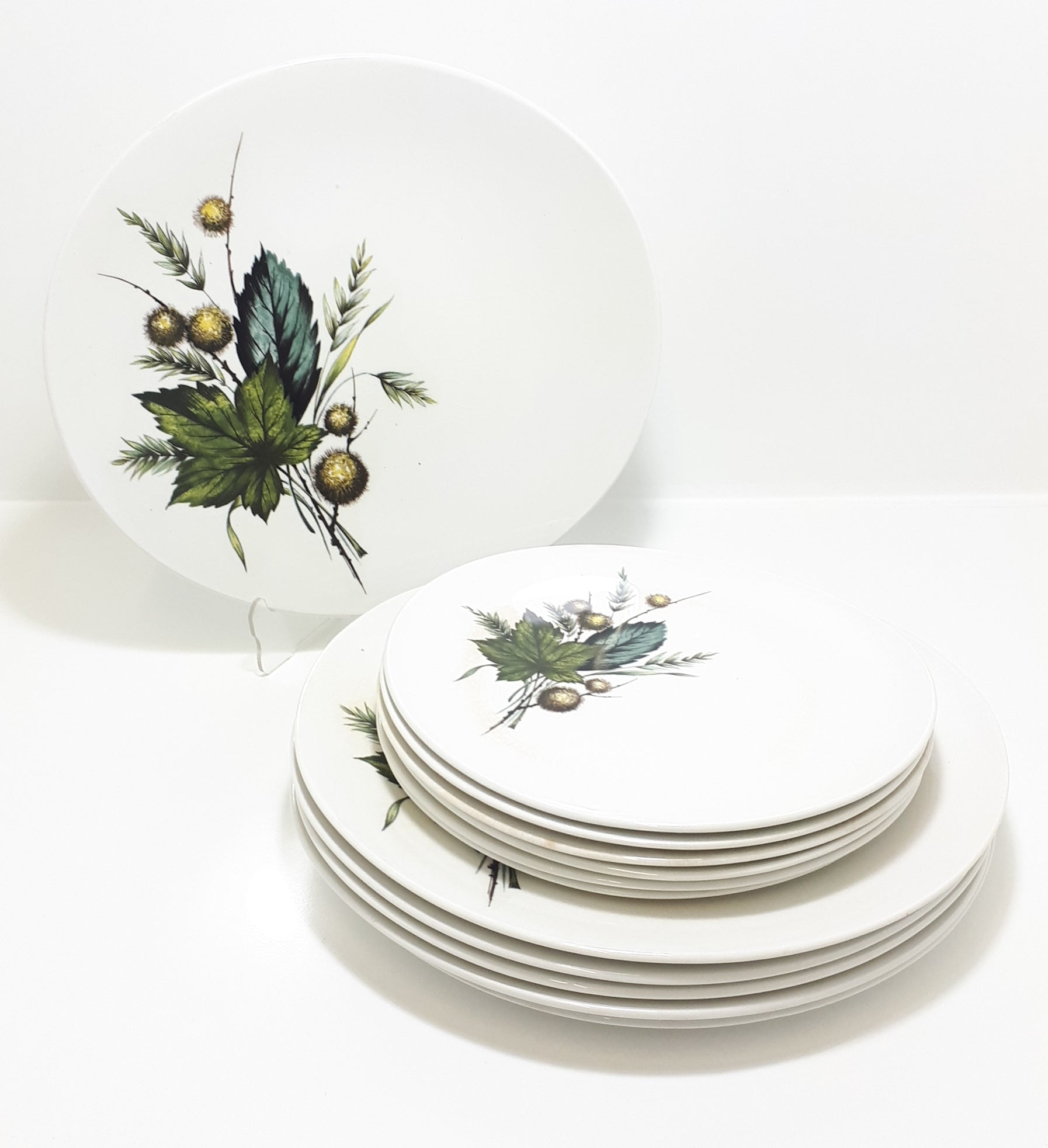 Retro Vintage 1970’s Wood & Sons Alpine Ironstone Set Of 12 Plates (6 Dinner Plates & 6 Side Plates  – Sherwood Pattern