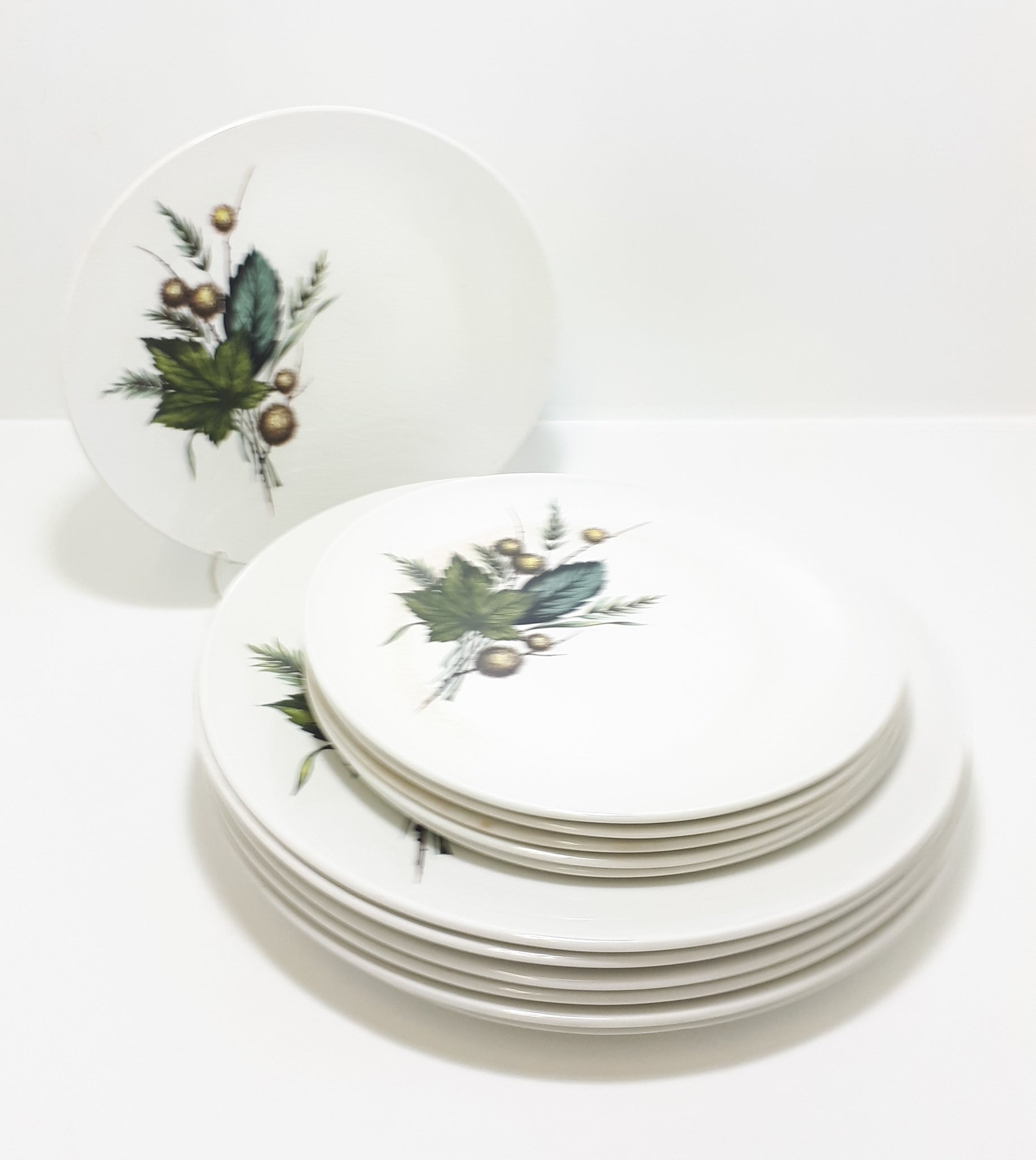 Retro Vintage 1970’s Wood & Sons Alpine Ironstone Set Of 12 Plates (6 Dinner Plates & 6 Side Plates  – Sherwood Pattern