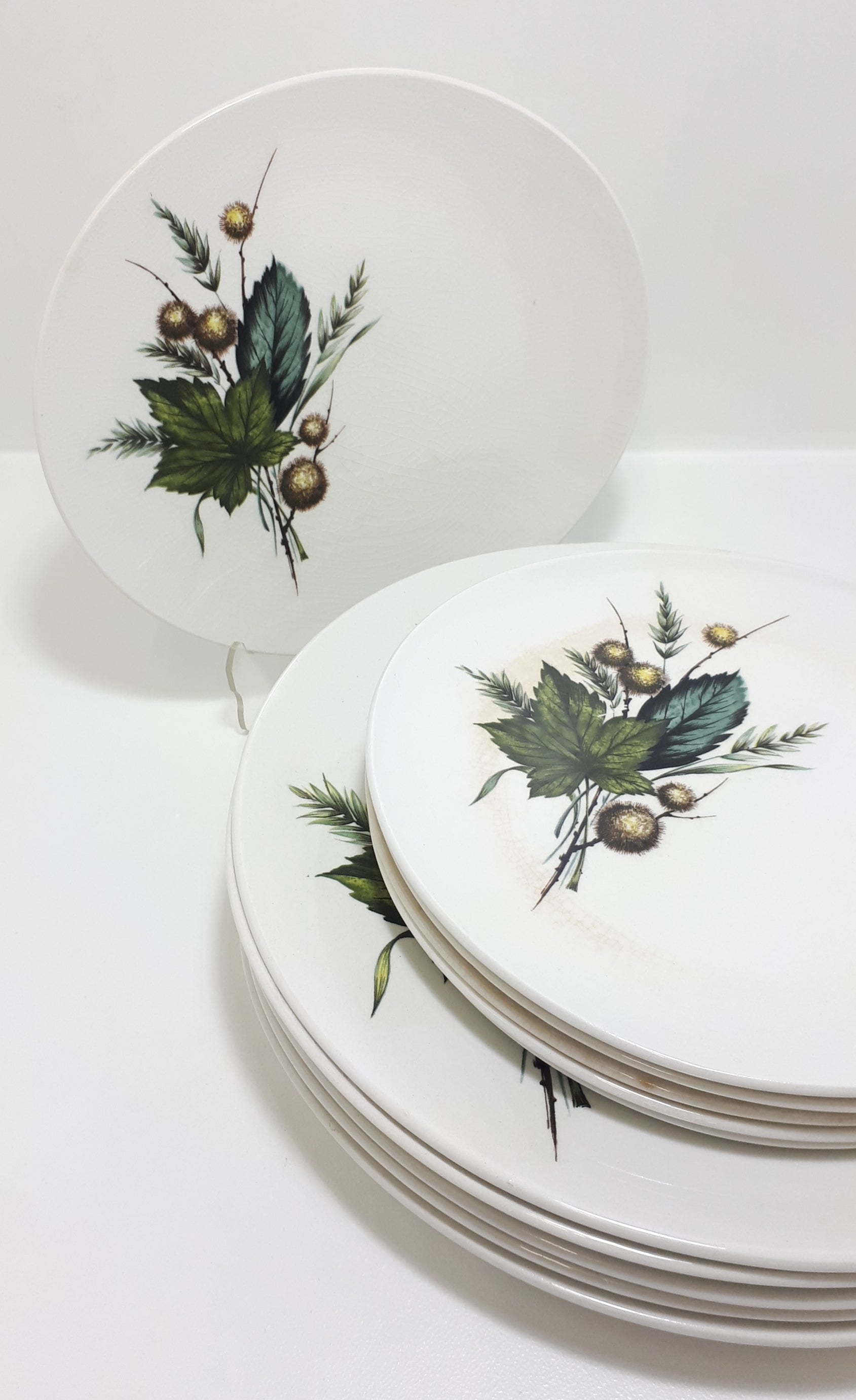 Retro Vintage 1970’s Wood & Sons Alpine Ironstone Set Of 12 Plates (6 Dinner Plates & 6 Side Plates  – Sherwood Pattern