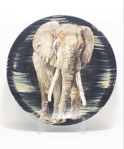 Collectable Set Of Decorative Plates – African Big 5