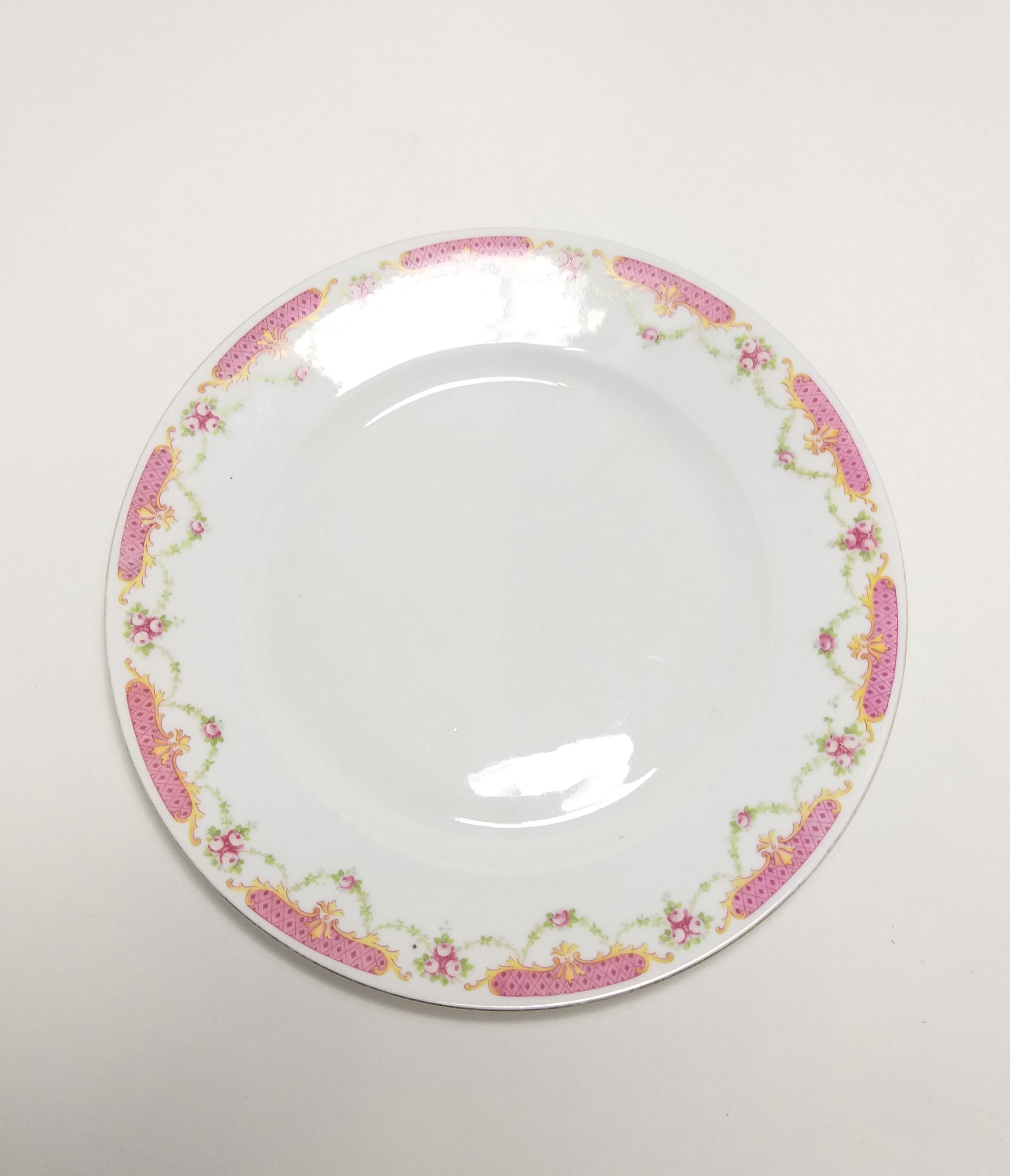 Rare Antique 1918+ MZ Altrohlau CM-R Czechoslovakian Fine Porcelain Dinner Plate