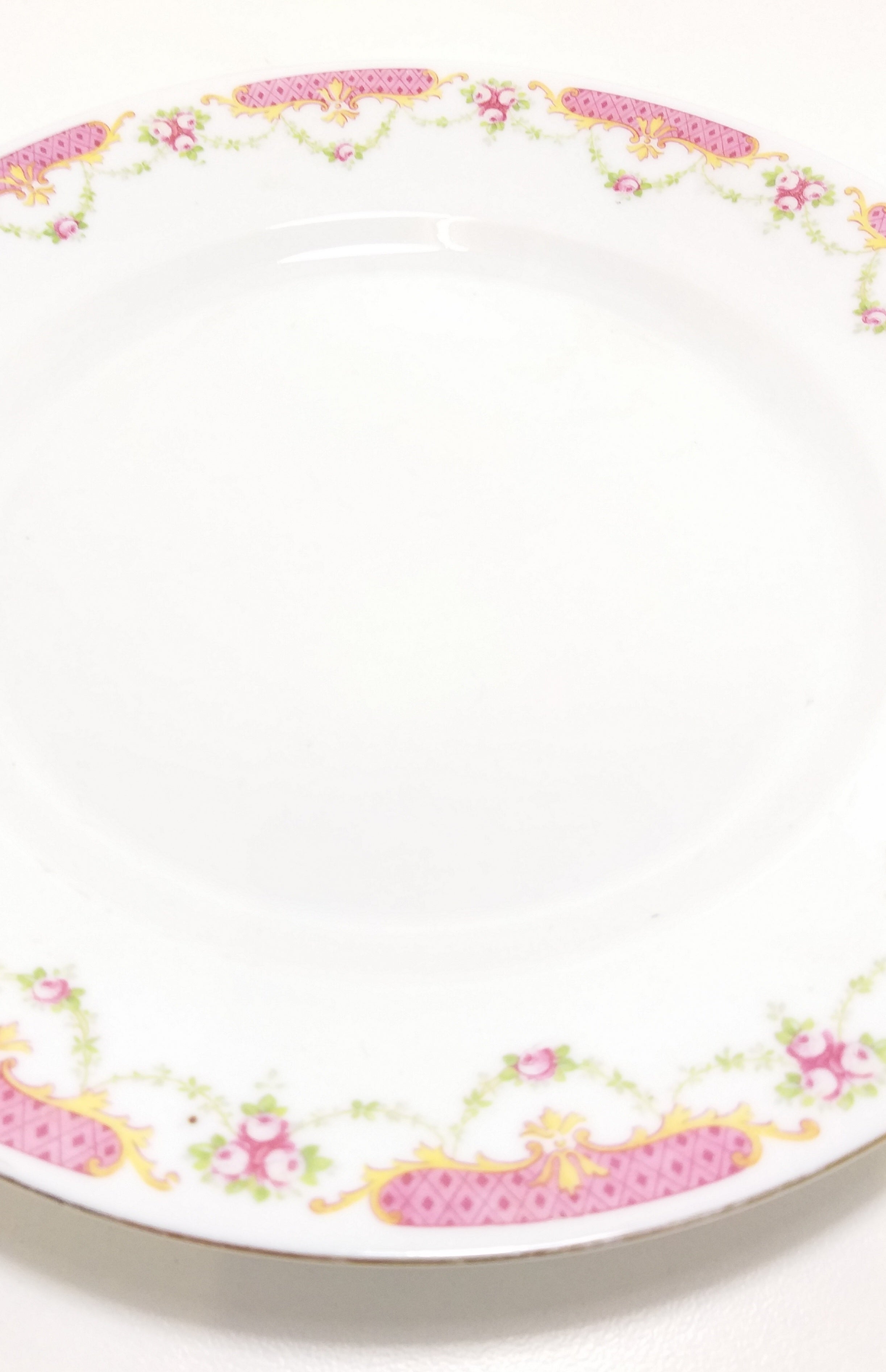 Rare Antique 1918+ MZ Altrohlau CM-R Czechoslovakian Fine Porcelain Dinner Plate