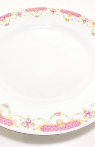 Rare Antique 1918+ MZ Altrohlau CM-R Czechoslovakian Fine Porcelain Dinner Plate