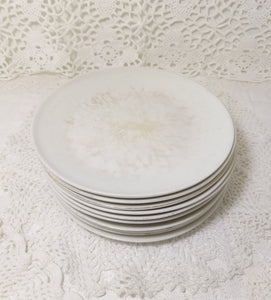 Vintage Set Of 10 South African Hugeunot Royale Ceramic Side Plates