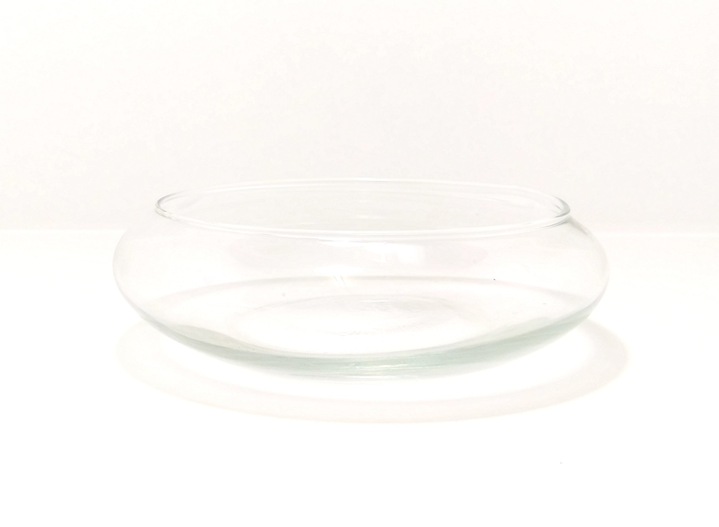 Contemporary & Decorative Flat Clear Glass Terrarium Bowl