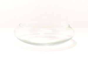 Contemporary & Decorative Flat Clear Glass Terrarium Bowl
