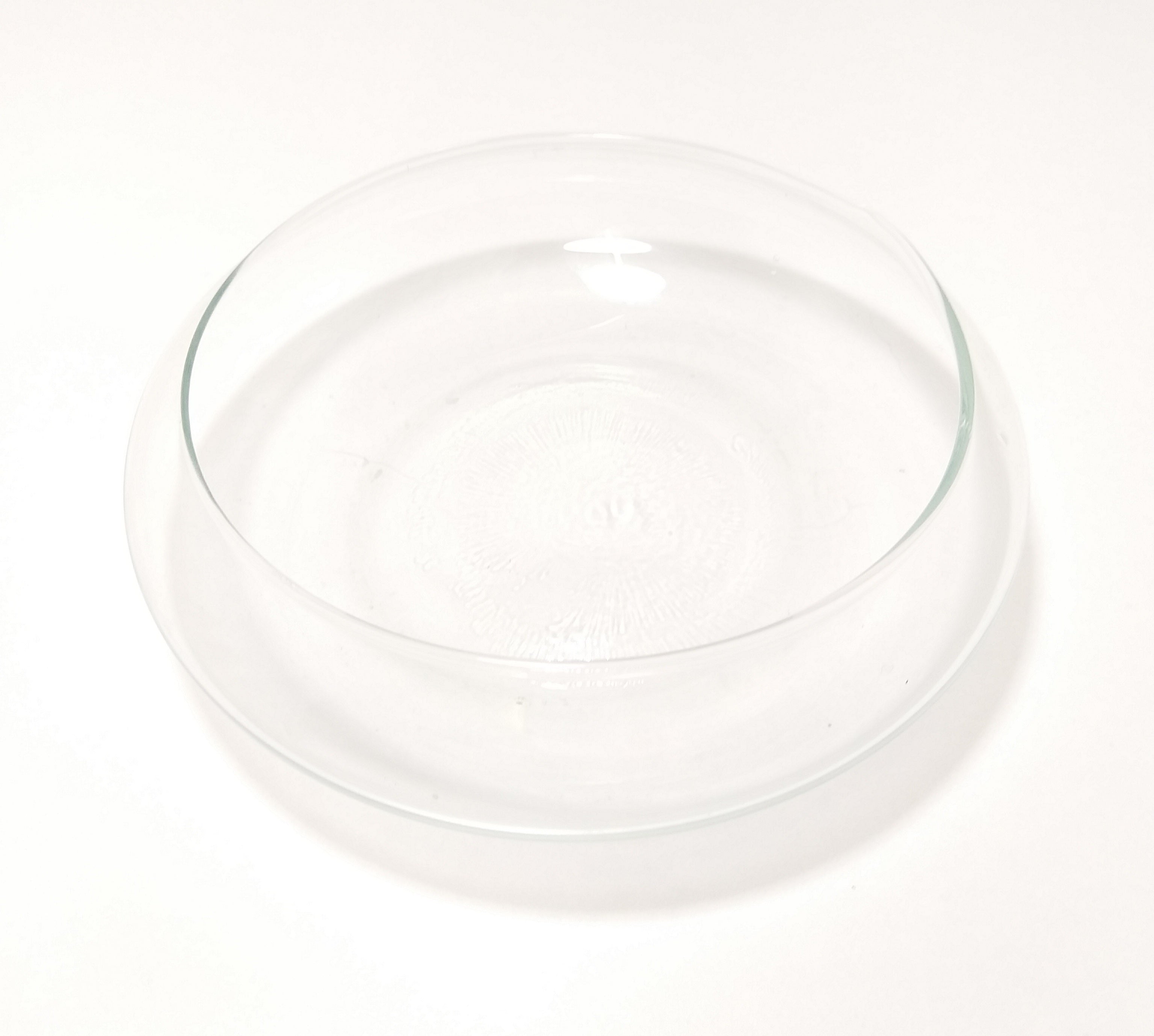 Contemporary & Decorative Flat Clear Glass Terrarium Bowl