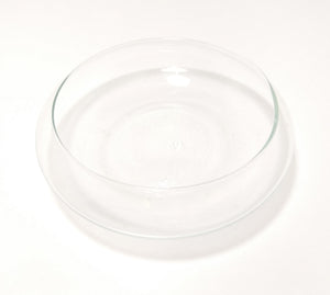 Contemporary & Decorative Flat Clear Glass Terrarium Bowl