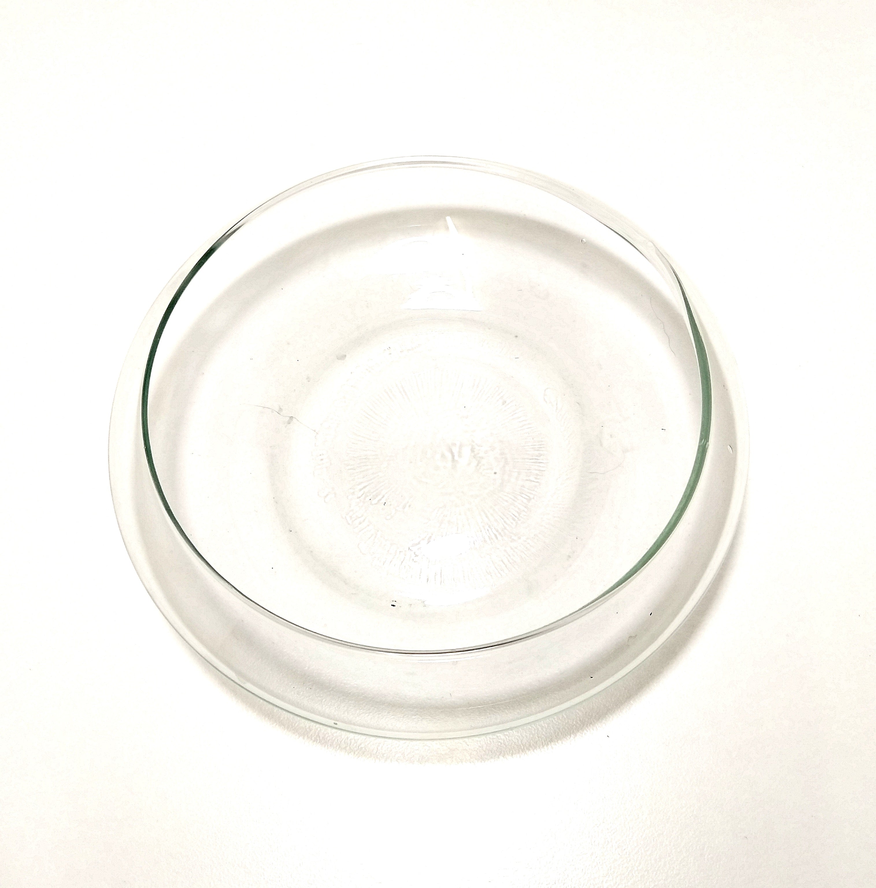 Contemporary & Decorative Flat Clear Glass Terrarium Bowl
