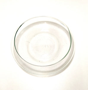 Contemporary & Decorative Flat Clear Glass Terrarium Bowl