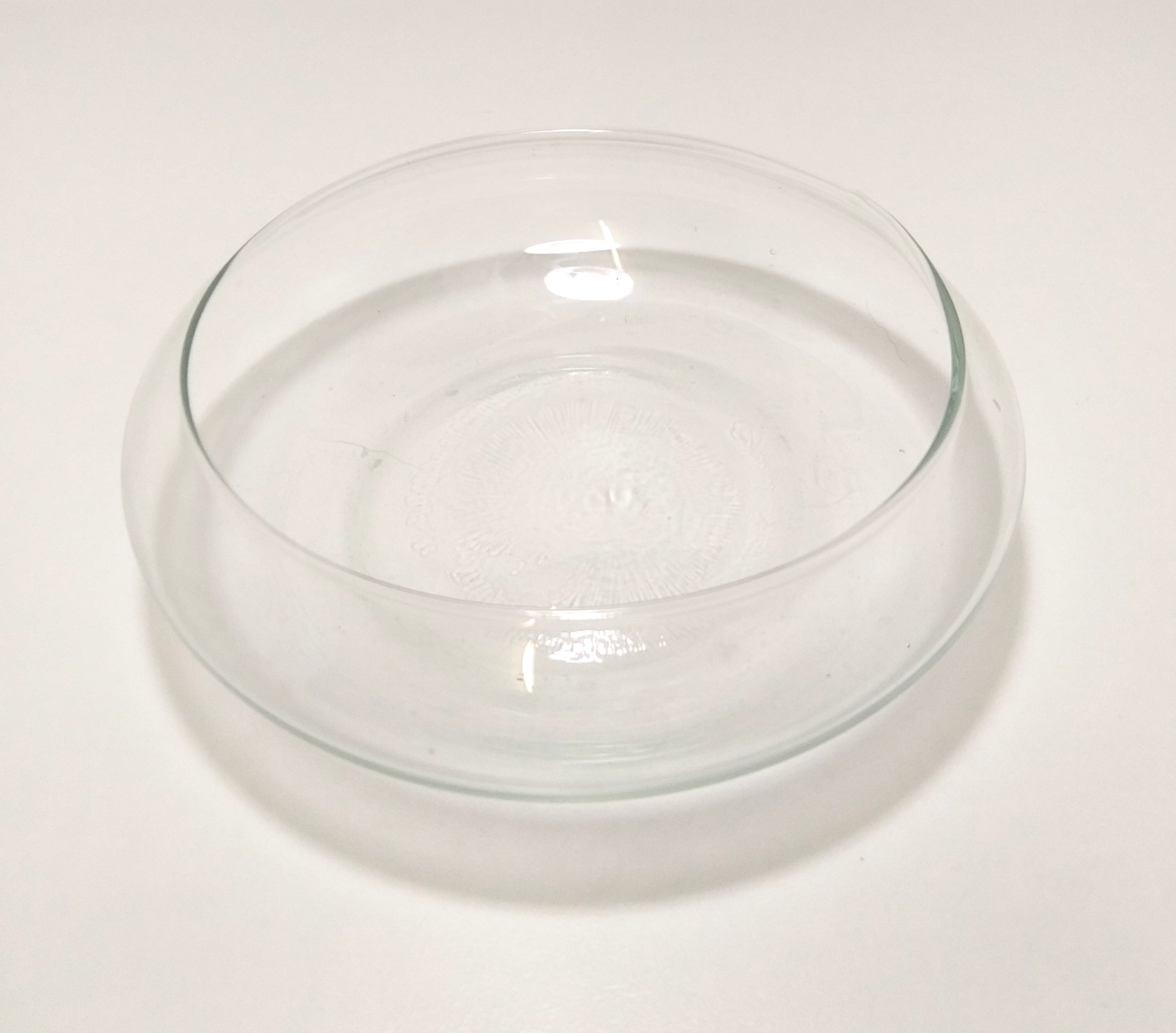 Contemporary & Decorative Flat Clear Glass Terrarium Bowl